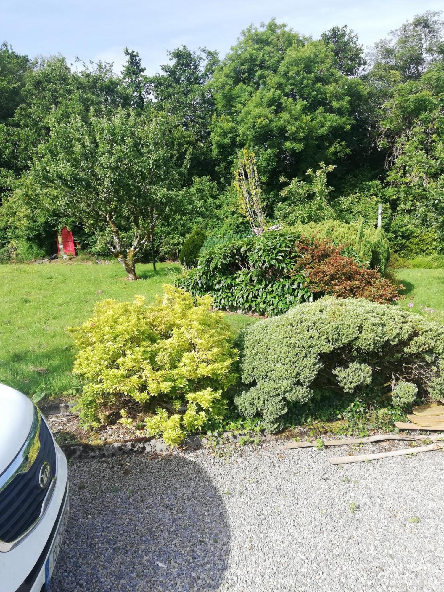 Lakeview House Apartman Galway Kültér fotó